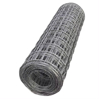 Cages à oiseaux en treillis métallique tissées en acier inoxydable Filets d'élevage Finition galvanisée Styles d'armure toile néerlandais pour la construction Maille soudée