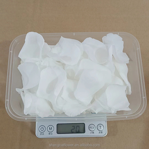 Petali di Rosa Naturali Bianchi Puri per Decorazioni Floreali, Coriandoli Biodegradabili per Matrimoni, Petali Veri di Fiori Conservati - Product Image 2