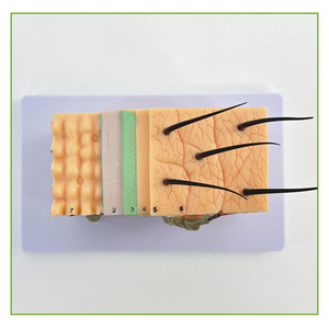 35 - Product Image 5
