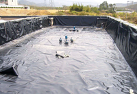 La bâche en polyéthylène PVC imperméable de haute qualité est utilisée pour le tissu plastique imperméable dans l'étang à poissons