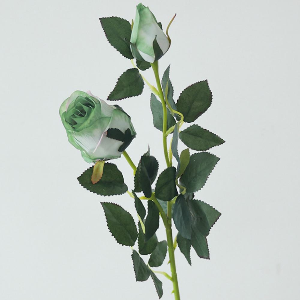 สีเขียว