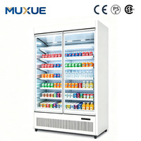 Réfrigérateur commercial autonome pour boissons/fruits/légumes, refroidisseur ouvert multi-étagères avec porte
