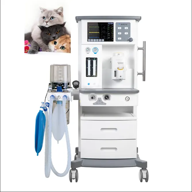 आर्थिक प्रकार का सस्ता अस्पताल पालतू पशु एनेस्थीसिया मशीन