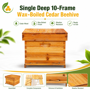 Colmena de Madera de Una Sola Capa con 10 Cuadros, Recubierta de Cera Antirrotura, Duradera, para Apicultura y Cría de Abejas - Product Image 1
