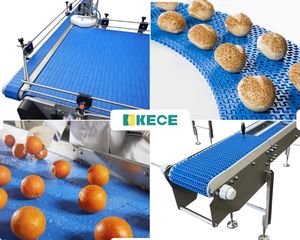 Yeni Yüksek Kaliteli Dayanıklı Modüler Plastik Kavisli Konveyör Bant Üretim Tesisi ve Perakende Taze Gıda İçin - Product Image 6