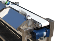 Nieuwe automatische sorteermachine voor kippen, weegschaal met hoge precisie, zwenkarmtype, 4000-5000 stuks/uur, geschikt voor fruit.