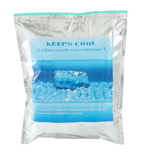 Sacs isothermes médicaux isolés de qualité supérieure sac isotherme de voyage portable écologique avec logo personnalisé pour le stockage des aliments à insuline diabétique - Product Image 6