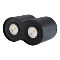 China FTY Modern GU10 Proyecto de doble cabeza Luz Montado en superficie Led Techo Aluminio Downlight