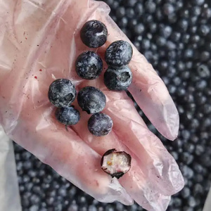 Bayas Congeladas IQF Chinas al por Mayor, Arándanos Congelados IQF para Exportación a Buen Precio - Product Image 2