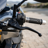 Kit de poignées de frein robustes pour scooter, leviers de frein à disque et d'embrayage réglables pour motos électriques, finition chromée
