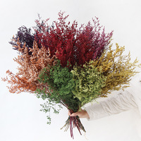 Fleurs séchées naturelles de Limonium Safora (Misty) préservées, avec un processus d'absorption de couleur longue durée de 3 à 5 ans, pour la décoration de la maison et de mariages