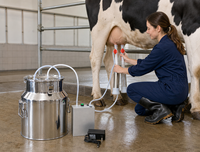 Machine à traire électrique de grande capacité 18L pour vaches et chèvres, pompe à vide à double tête 60W avec seau en acier inoxydable