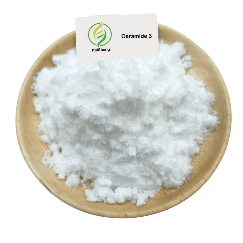 Commercio all'ingrosso pura alta purezza cura della pelle estratto di crusca di riso Ceramide complesso Ceramide 3 polvere Ceramide