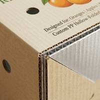 Op maat gemaakte Pp holle gevouwen fruitdoos van golfkarton voor sinaasappels, appels, kiwi's, drakenvruchten en groenteverpakkingen