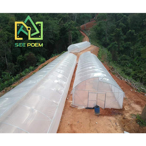 थोक गर्म बिक्री बड़े आकार के उच्च आकार वाली सुरंग कृषि ग्रीनहाउस उगाने वाले टमाटर के बीज के लिए ग्रीनहाउस - Product Image 6