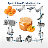 ORME Fruitjam Productielijn Graantype Rode Dadel Peer Mango Ananas Appeljam Kook- Concentratie- en Vulmachine