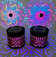 Lampes murales solaires en verre Mandala, petites lampes LED à motif de pivoine creuse, décoration de jardin extérieur, lumière de cour, cadeau, décorations festives