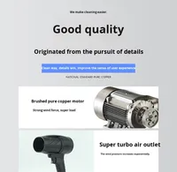 Batterie au lithium sans fil rechargeable haute puissance souffleur industriel sèche-cheveux en plastique et dépoussiéreur de feuilles tombantes