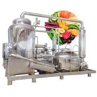 Automatische Groente-en Krokante Chips Friteuse Ananas Chips Vacuüm Frituren Machine