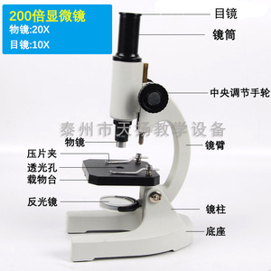 Microscope biologique monoculaire à tube droit pour étudiants XSP-200X 200x - Vente directe du fabricant d'instruments pédagogiques - Product Image 2