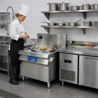 Cuisinière à induction électrique professionnelle pour wok et soupes, équipement de cuisine pour la restauration et les restaurants