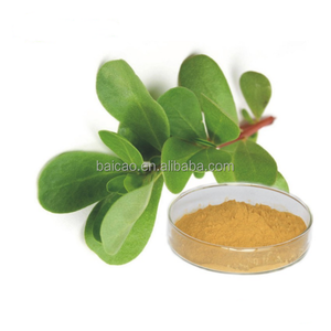 Premium <span class=keywords><strong>Portulaca</strong></span> Oleracea extracto en polvo hierba seca <span class=keywords><strong>planta</strong></span> Purslane extracto 10:1 20:1 30:1 50:1 - Product Image 1
