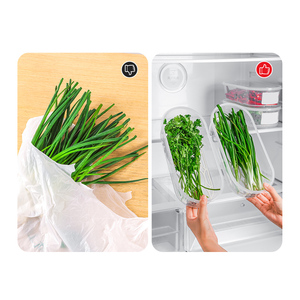 Boîte de conservation de qualité supérieure pour les oignons verts, la <span class=keywords><strong>coriandre</strong></span>, le gingembre et la <span class=keywords><strong>coriandre</strong></span> - Product Image 4