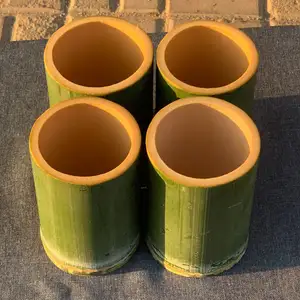 バンバス再利用可能なコーヒーティー再利用可能な飲用環境にやさしい緑の竹のカップ結婚式のため