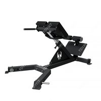 Machine de musculation en acier inoxydable pour salle de sport - Équipement d'exercice d'extension du bas du dos à 45 degrés avec option de logo personnalisé