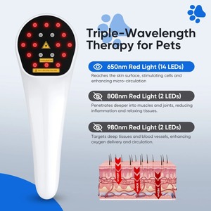 Dispositivo de Terapia de Luz Fría Infrarroja Cercana para Fisioterapia Veterinaria, Alivio del Dolor en Perros y Caballos, Recuperación Rápida - Product Image 4