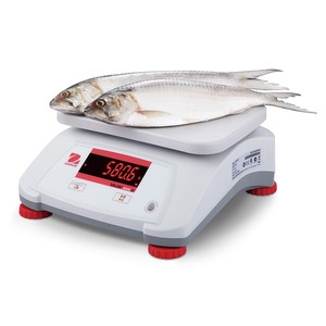 Selling 2026 Valor 2000 High-Performance Food Scale Suitable for Harsh, Wet Workplace Conditions V22PWE6T - Product Image 2