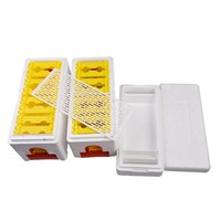 Boîtes de ruches d'abeilles Plus reine des abeilles accouplement boîte Nuc boîte Nuc pour abeilles reine élevage ruche pour apiculteur