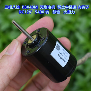 Motor sin Escobillas B3040M DC12V 5400 RPM, Mini Motor Eléctrico Silencioso de Alto Torque - Product Image 1