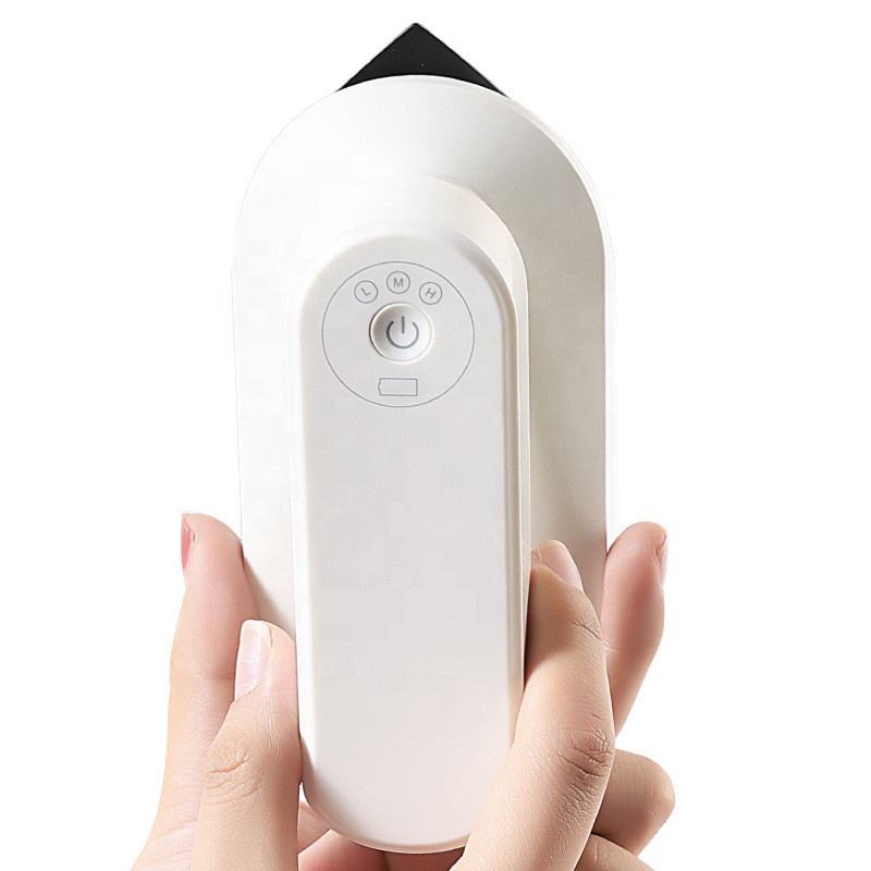 Mini Wireless Rechargeable Clothing Iron Travel Handheld Small Iron Wet And Dry Electric Garment Steamer