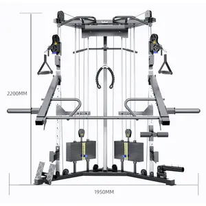 Weight Big Multiple Pulley Rack Gym Body Line 3D Flying Bird Smith Machine