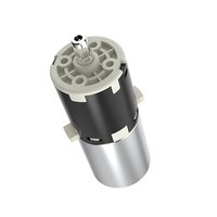 Gearbox DC Planetary 24mm 5V Presisi Tinggi Stabilitas Tinggi Kebisingan Rendah, Motor Gear Torsi Tinggi 5V untuk Pemijat Pinggang - Laris Terjual