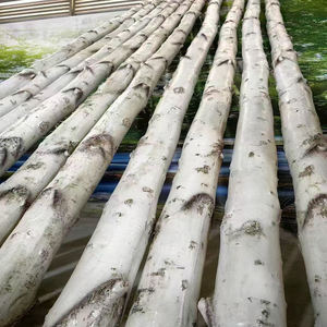 Açık IP65 su geçirmez bahçe ışıkları PE malzeme simüle huş ağacı yerleşik <span class=keywords><strong>LED</strong></span> boncuk çeşitli senaryolar için çoklu yükseklik - Product Image 5