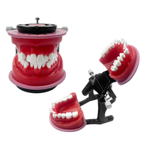 Nouveau Modèle Squelette Typodont pour la Formation en Orthodontie Dentaire, la Pratique du Traitement Orthodontique, l'Enseignement et l'Étude, avec Cire Dentaire et Gencives