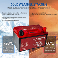 Batterie de démarrage pour moto OEM ODM 12V 10Ah LiFePO4 avec BMS intégré et indicateur de niveau de batterie, 2000+ cycles