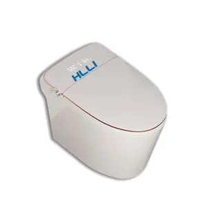 HLLI Intelligent 1 Piece Toilet Bathroom Automatic Flushing Toilets Seat Side Remote Smart Toilet