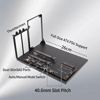 Station d'accueil eGPU, carte d'extension PCIe à double emplacement (40,6 mm), prend en charge deux cartes graphiques double largeur