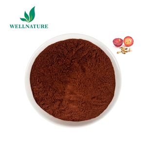 <span class=keywords><strong>Extrait</strong></span> <span class=keywords><strong>de</strong></span> fruit original, ingrédients cosmétiques en poudre, <span class=keywords><strong>extrait</strong></span> <span class=keywords><strong>de</strong></span> Vitis Vinifera, <span class=keywords><strong>extrait</strong></span> <span class=keywords><strong>de</strong></span> pépins <span class=keywords><strong>de</strong></span> <span class=keywords><strong>raisin</strong></span> - Product Image 1