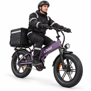 Vélo cargo électrique D40 750W 48V40AH Longue autonomie Charge rapide 5-6H Couple 80N·m Vente en gros Direct Usine - Product Image 1