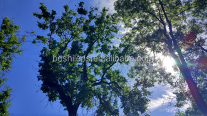 Filtro de Lente M12 de 2.97mm 1/2.5 Pulgadas F4.0 5mp para Lentes de Cámara y Lentes sin Distorsión - Product Image 4