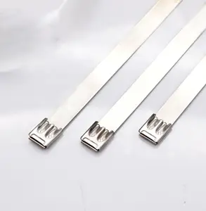 Factory direct sale 12*300 mm Double-ball lock catch Stainless Steel Cable ties 316 Stainless Steel Cable ties