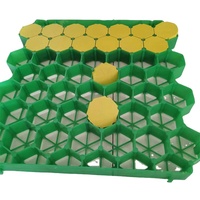 Grilles en béton HDPE pour gazon perméable, pavés pour allées et parkings
