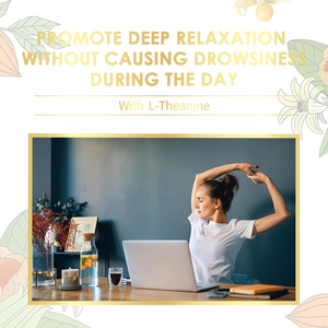 Thực phẩm bổ sung kẹo dẻo chiết xuất rễ Ashwagandha 2000mg Rosebest OEM nhãn hiệu riêng, thuần chay, bổ sung Magie và 5-HTP dành cho nam và nữ - Product Image 5