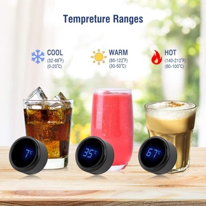 Smart LED Insulated Travel Cup Stainless Steel Temperature Display <b>Bottle</b> Tea Strainer for Coffee Tea Direct Drinking <b>Flask</b> Cup - Product Image 6