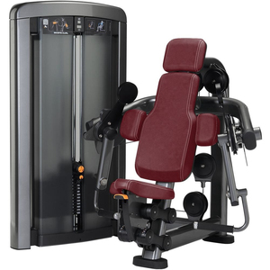 2023 nueva llegada bíceps <span class=keywords><strong>Curl</strong></span> ejercicio brazo gimnasio fuerza máquina - Product Image 1