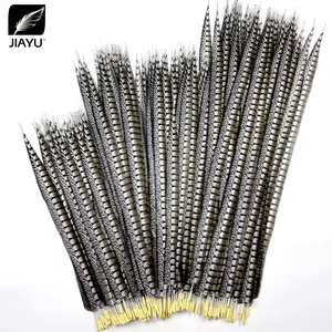 Usine En Gros 60-110cm Simulé Femelle Mâle <span class=keywords><strong>Faisan</strong></span> Queue DIY Chapeaux Accessoires Lady Amherst <span class=keywords><strong>Faisan</strong></span> Queue Plumes - Product Image 3